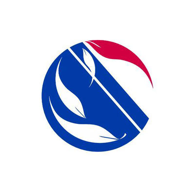 Buckingham And Company